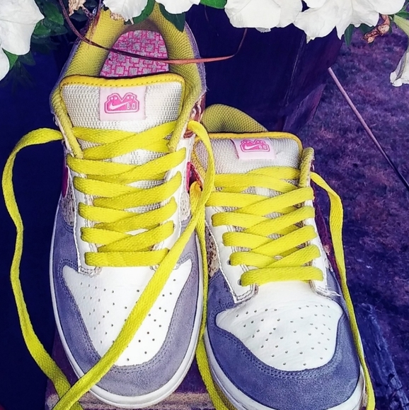 low top nike dunks released in 2007